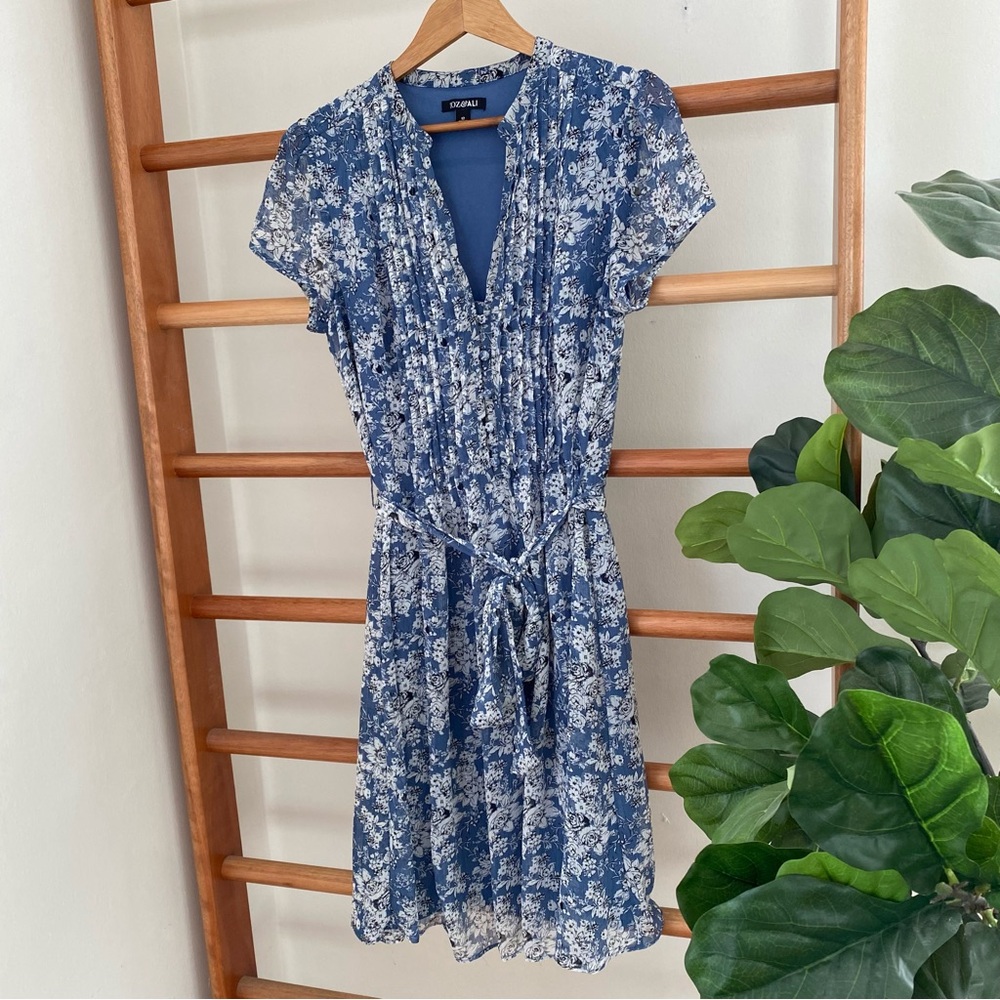 Roz & Ali chiffon-like cap sleeve dress